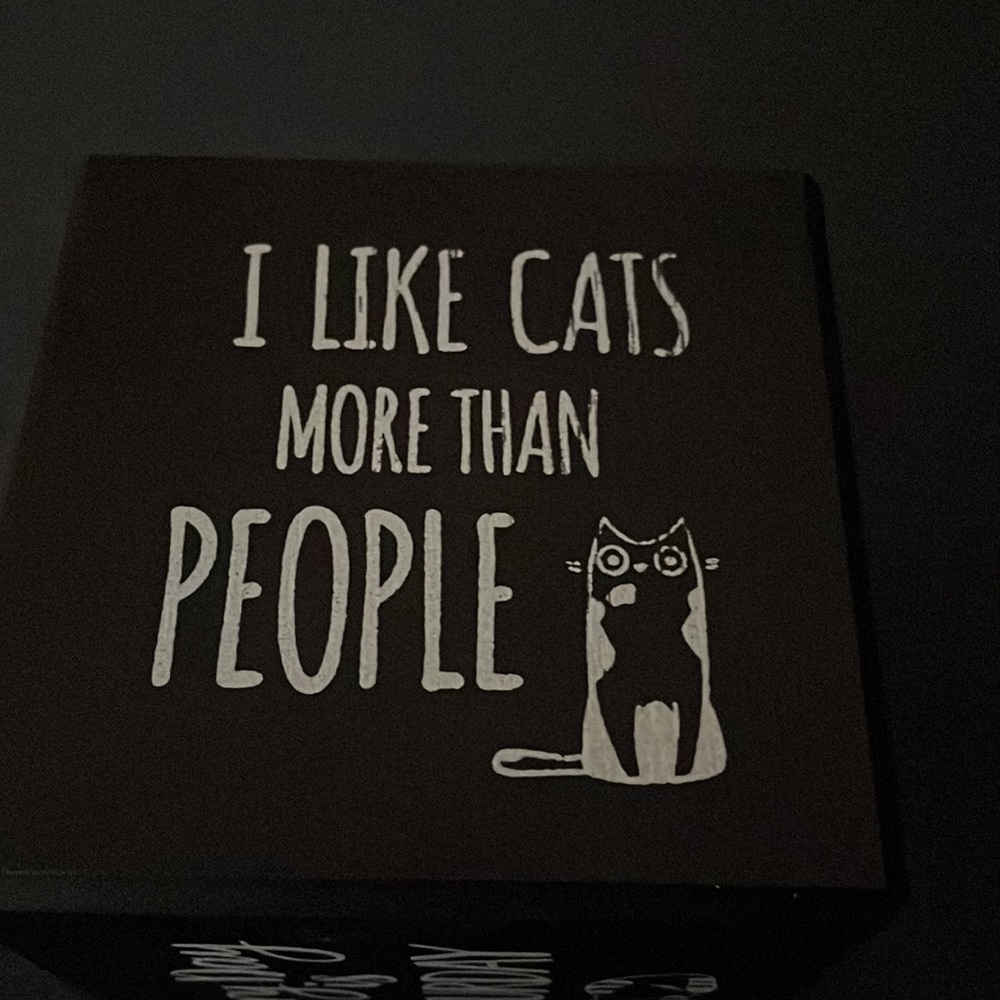 Cat saying cubes - Picture 5 of 6